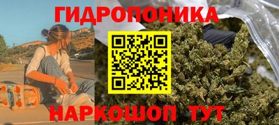 индика Нальчик